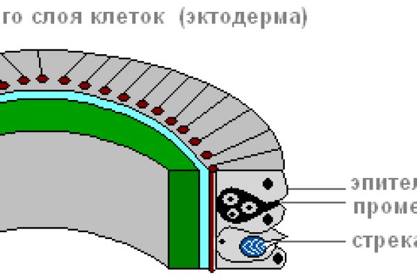 Кракен ссылка тор браузер