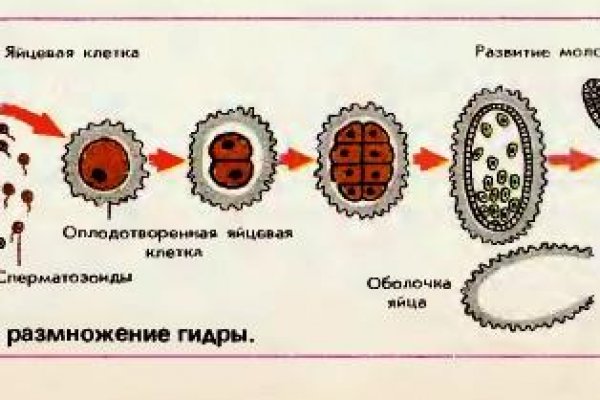 Что такое кракен шоп