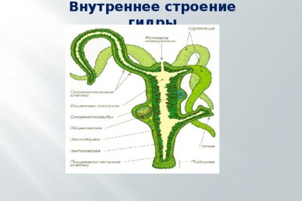 Кракен это сайт что продают