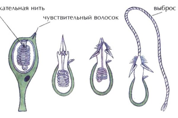 Через какой браузер заходить на кракен